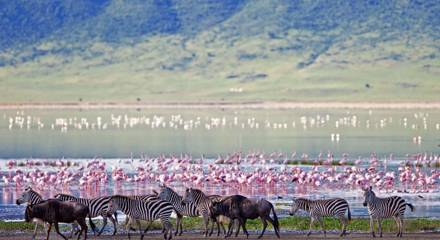 Ngorongoro 크레터